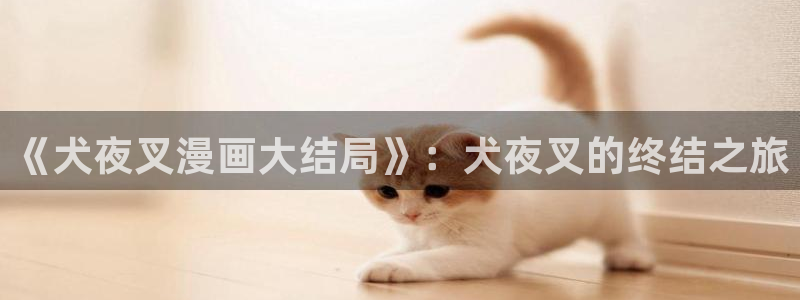 好看的漫画韩漫在线